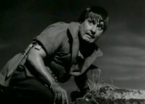 vengaikku kurivaithu - Paasam (1962)